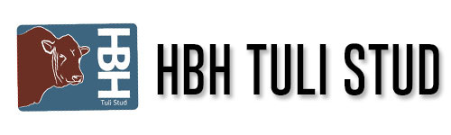 HBH Tuli Production Sale 2017 - 23 August 2017